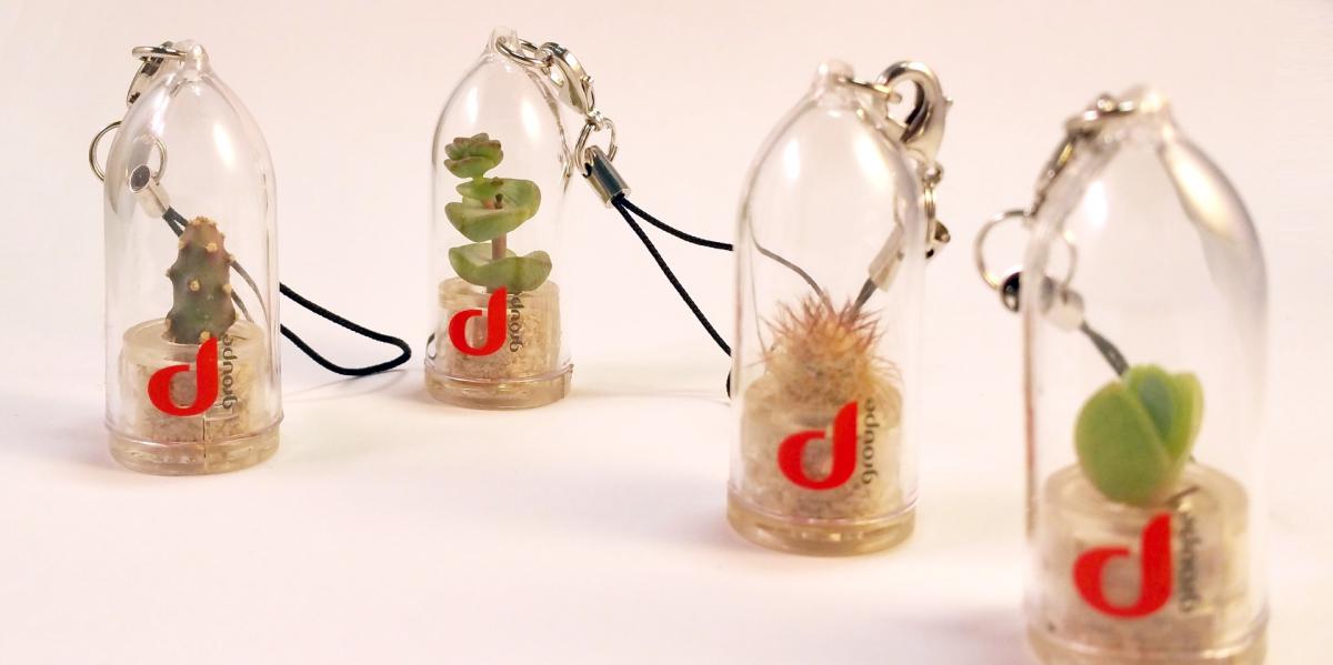 babyplante petite plante mini cactus de poche personnalisable objet publicitaire porte clé